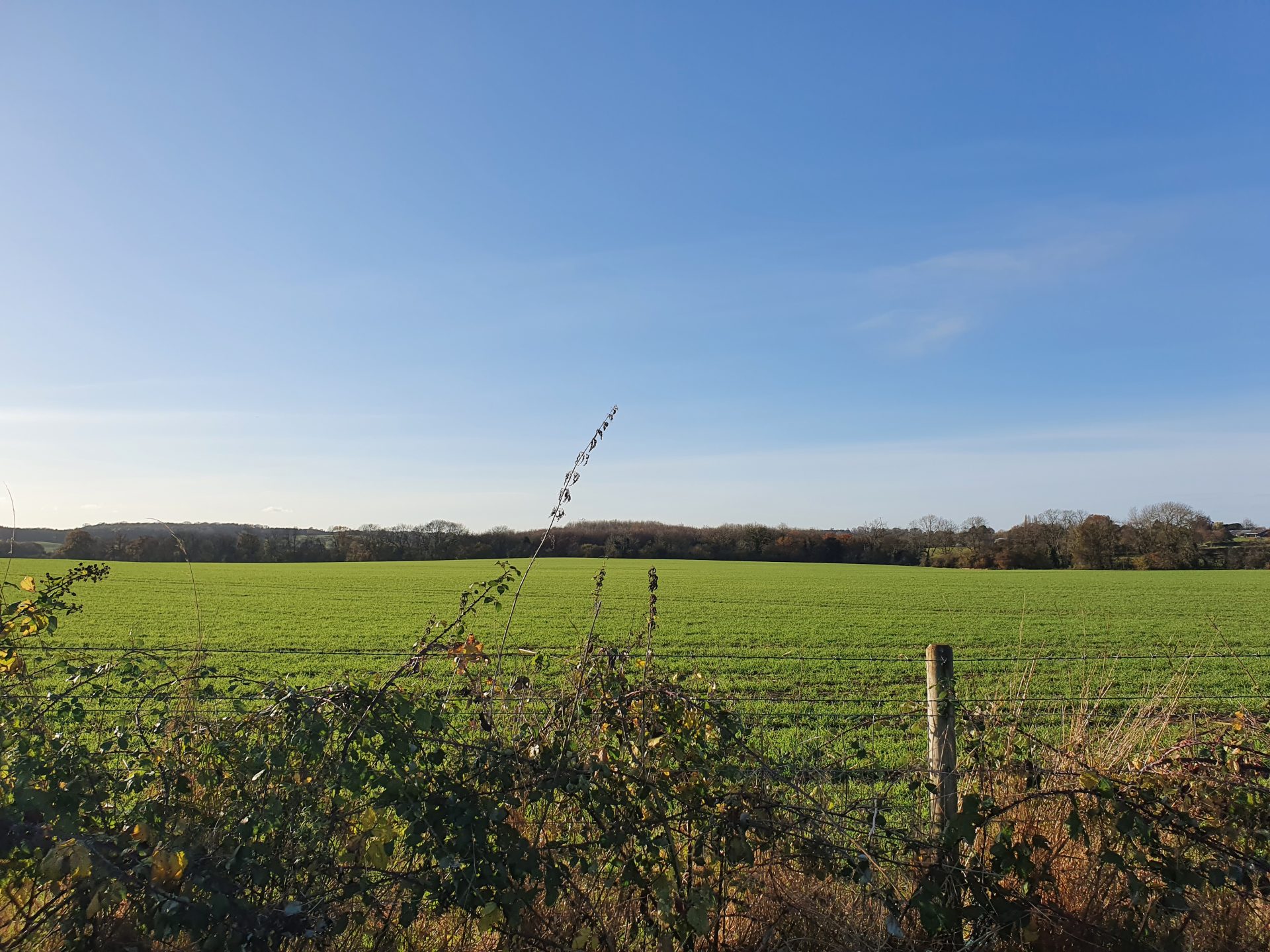Greenbelt, what is it and how does it impact development?
